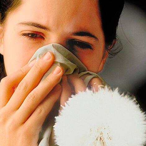 鹅不食草治过敏性鼻炎的方法 认识治疗过敏性鼻炎8大偏方