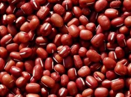 红豆的营养价值与功效