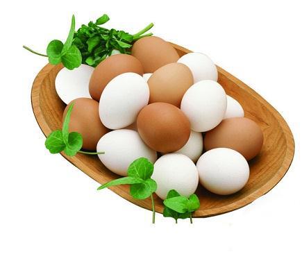 蛋黄与蛋清的营养秘密