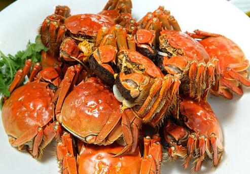 挑选螃蟹的方法和螃蟹的食用禁忌