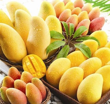 饮食禁忌 不能与芒果同吃的食物