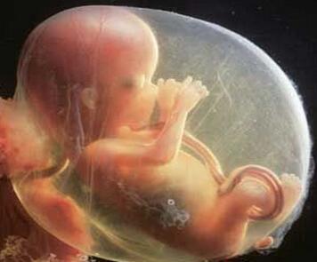 孕期准妈妈喝茶影响胎儿吗？