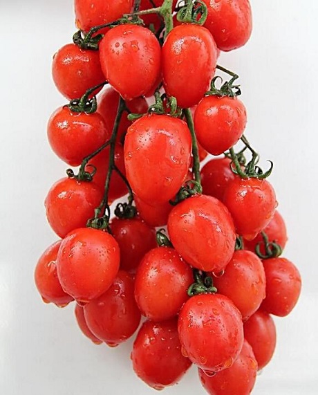 樱桃番茄的功效与作用_营养价值_适合体质_食用禁忌