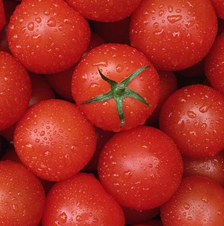 西红柿和圣女果哪个营养高