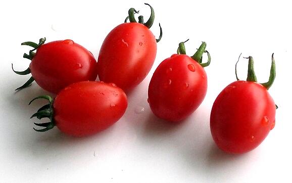 小小西红柿的营养价值