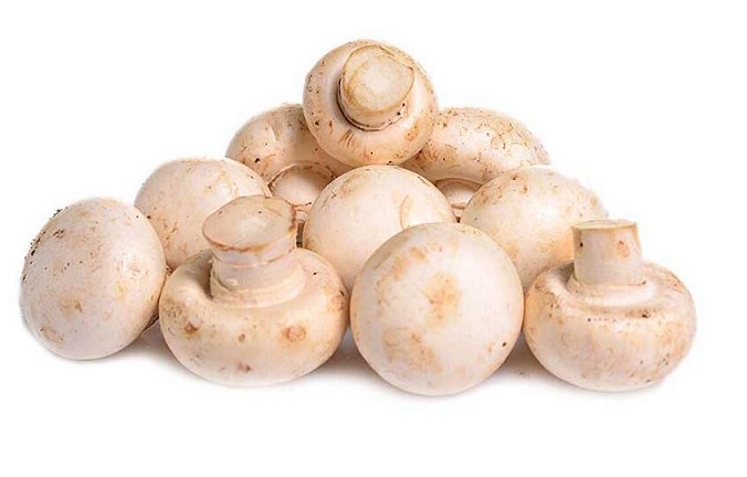 口蘑的选购技巧_口蘑的存储_口蘑的制作技巧_口蘑的食用方法