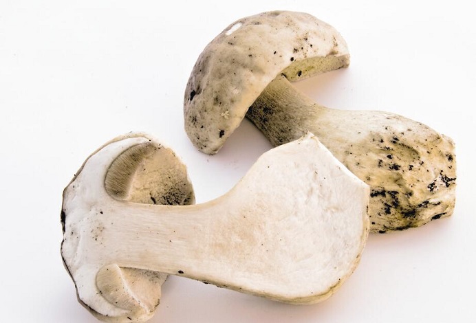 洗蘑菇水变奶白色 亚硫酸钠过量