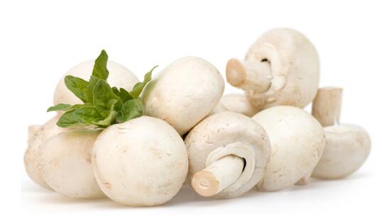洋菇的功效与作用_洋菇的营养价值_洋菇的保存方法