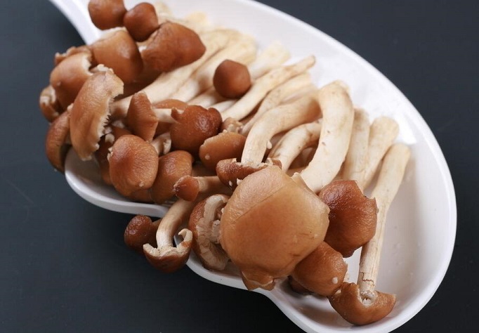 预防胃癌菌菇类食材作用妙