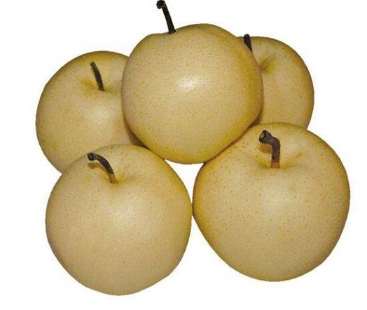 梨的功效与作用_梨的营养价值_梨的存储_圆黄梨品种特性