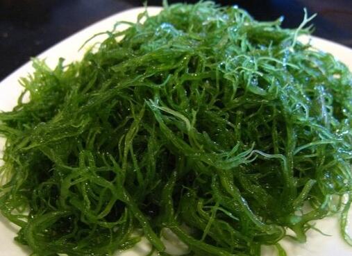 生活中多吃海藻可防心脏病
