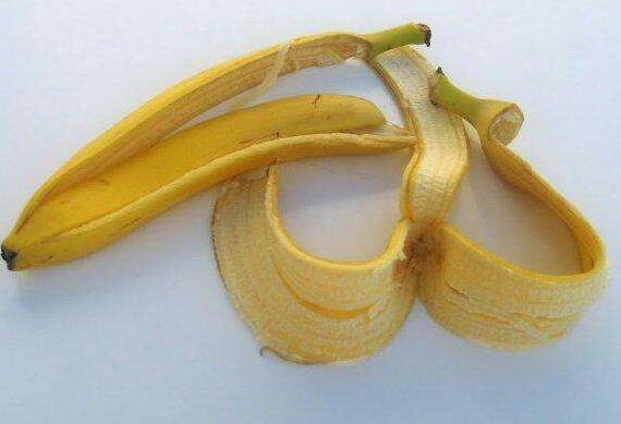 香蕉皮可用于高血压?