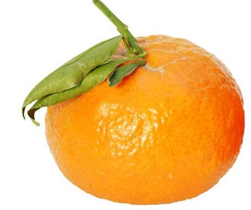 橘子：防病治病必知的营养价值