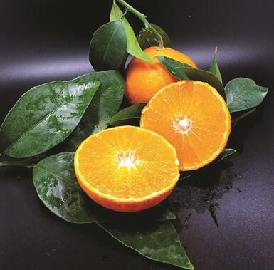 柑橘主要价值_柑橘营养_柑橘药用_柑橘选购方法