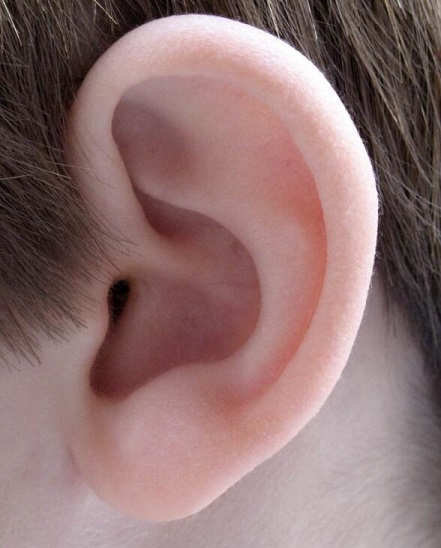 防治耳鸣要注意脂肪的摄入