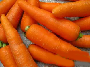 橙皮炖牛肉胡萝卜汤