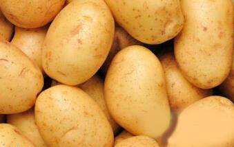 土豆的选购_土豆的存储_土豆的保存方法_土豆的制作技巧_土豆的食用方法