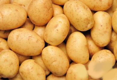 吃土豆要削皮 否则可能引起中毒