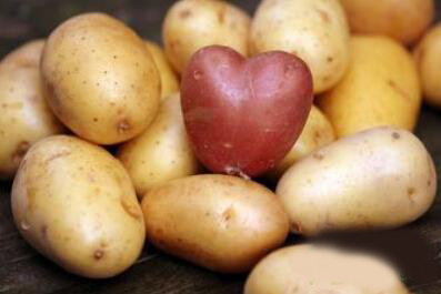 土豆功效多 美白祛斑还能减肥