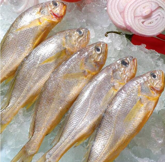 黄花鱼的营养价值