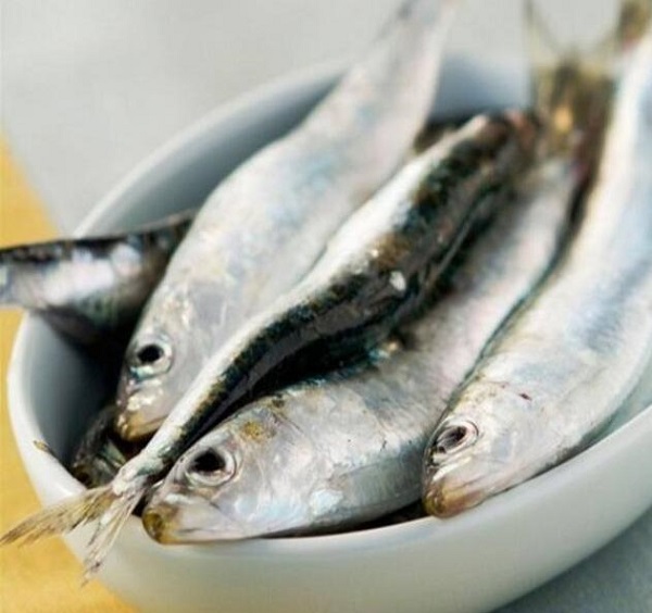 沙丁鱼提高人体免疫 9大增寿食物推荐