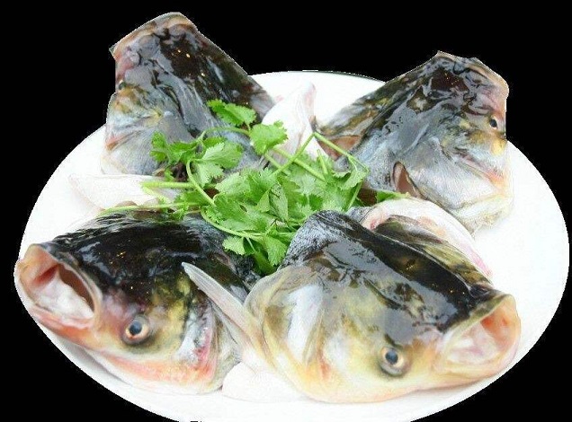 安全饮食 鱼头美味烹饪时要小心寄生虫