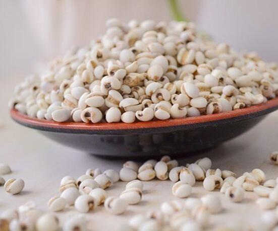 薏米营养丰富 盘点薏米的11种简单做法