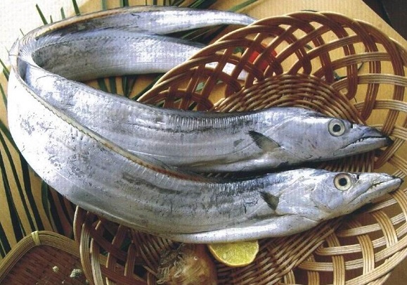 白带鱼的营养价值_白带鱼的功效与作用_适用人群_食用禁忌_选购技巧