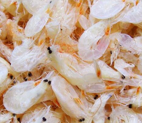虾皮的功效与作用_虾皮的营养价值_虾皮的适合体质