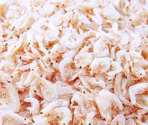 虾皮是否能补钙 虾皮的营养价值