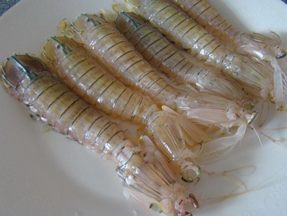 琵琶虾能和木瓜一起吃吗/同吃_琵琶虾和木瓜相克吗
