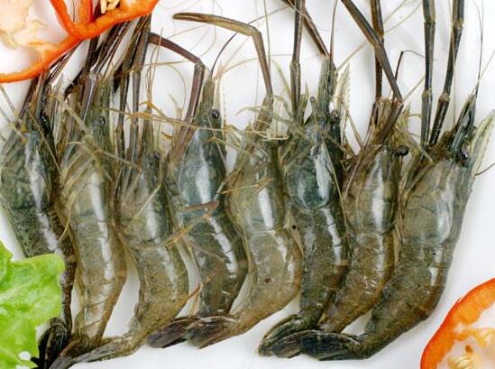 常见河虾和海虾的选购方法食材选购