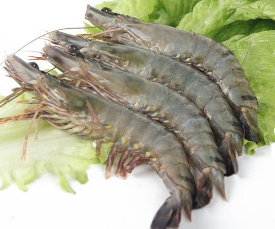 海白虾能和葡萄一起吃吗/同吃_海白虾和葡萄相克吗