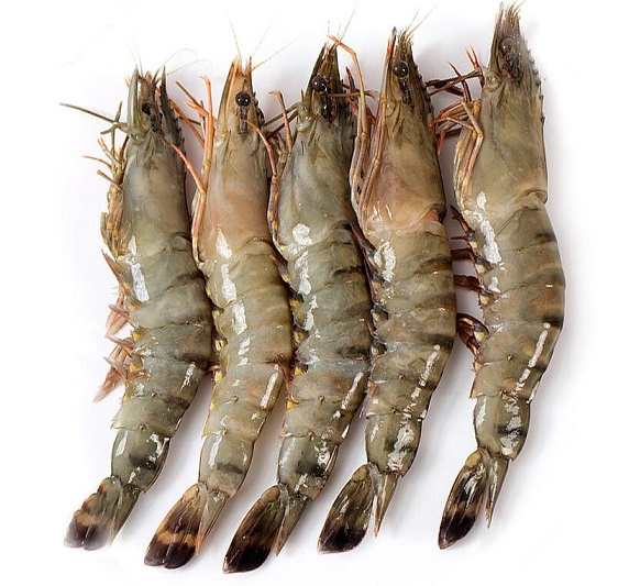 夏季七类人不能吃虾 小心中毒身亡饮食禁忌