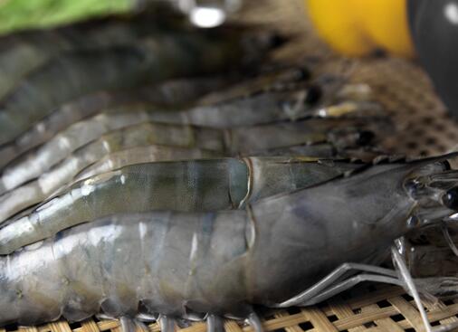 日常该如何调理前列腺炎 前列腺炎少吃鱼虾