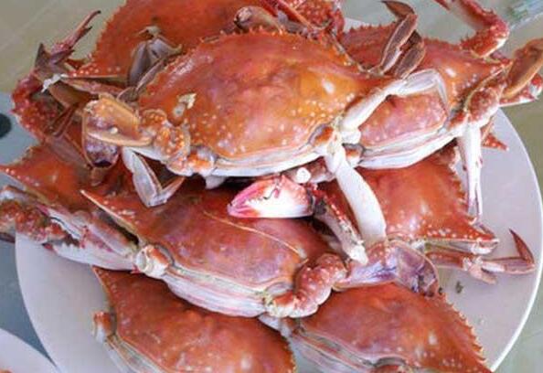 高蛋白食补佳品螃蟹