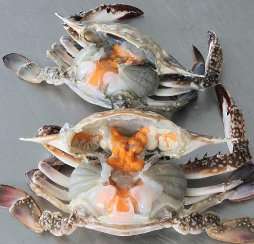 蒸煮螃蟹时有哪些技巧？