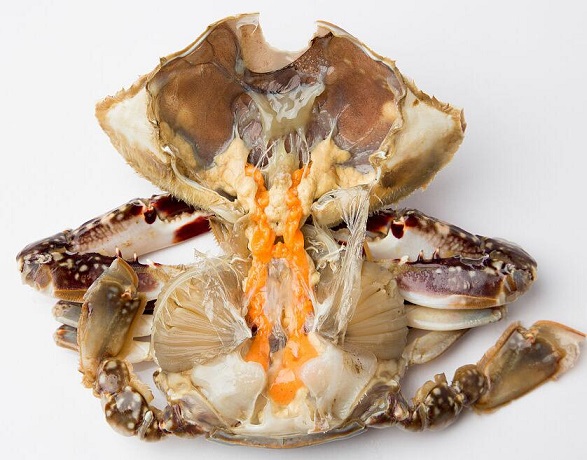 吃了螃蟹肚子不舒服怎么办 如何吃螃蟹更营养