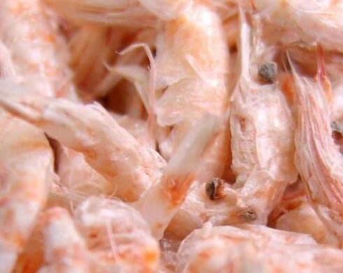 南极虾的营养价值