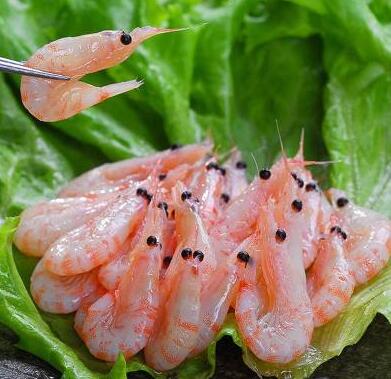 南极磷虾能和丝瓜一起吃吗_南极磷虾和丝瓜能一起吃吗/同吃
