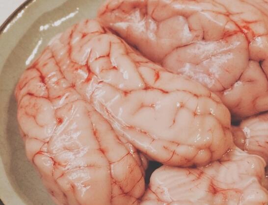 猪脑的选购_猪脑的存储_猪脑的制作技巧_猪脑的食用方法