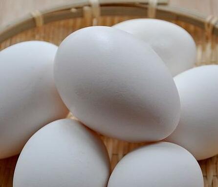 鹅蛋能和蛋清一起吃吗/同吃_鹅蛋和蛋清相克吗