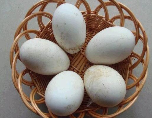 鸡鸭鹅蛋 根据体质选蛋吃