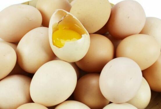 专家告诉你土鸡蛋为什么比洋鸡蛋安全