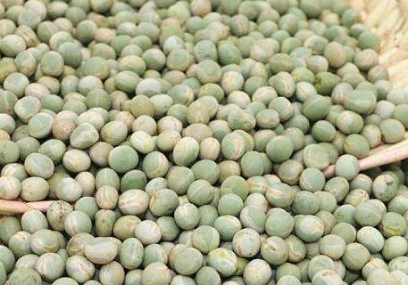 豌豆（干）的营养价值_豌豆（干）的适用人群_豌豆（干）的使用效果