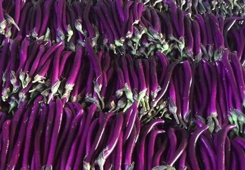 紫皮茄子的功效与作用_紫皮茄子的适合体质_食用禁忌