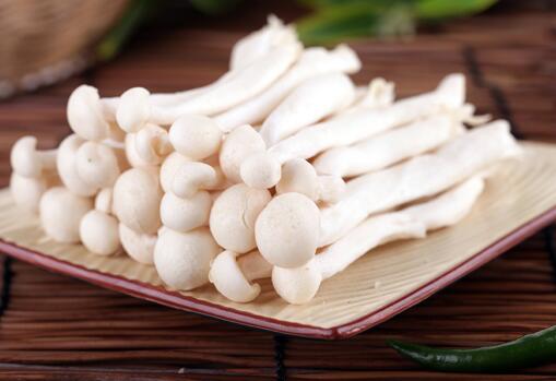 海鲜菇不能和什么一起吃？海鲜菇有哪些搭配禁忌？