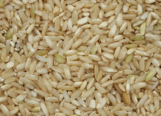 白米和糙米的营养比较与分析