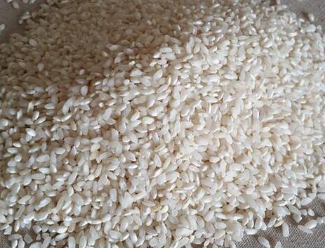 怎样处理生虫子的大米