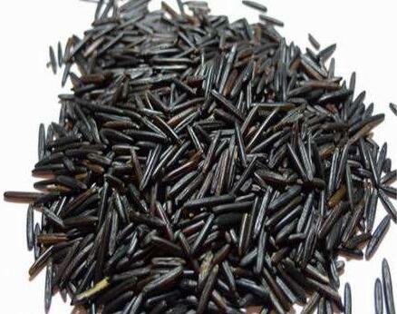 菰米的功效与作用_菰米的营养价值_菰米的储存方法